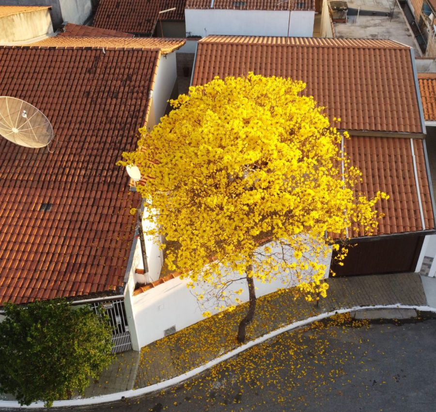 DCIM100MEDIADJI_0418.JPG