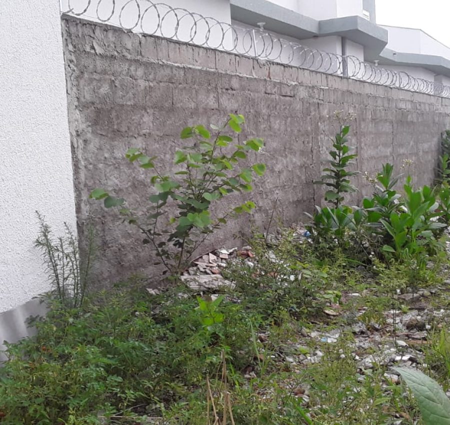 IMG-20240220-WA0151