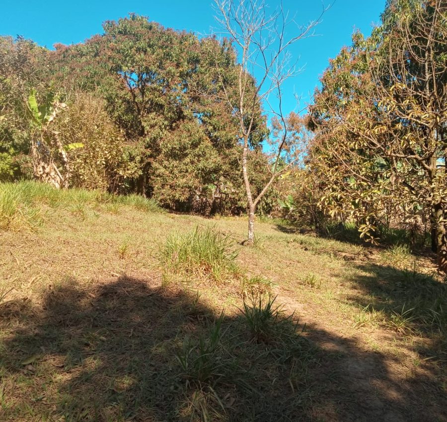 IMG-20240625-WA0107