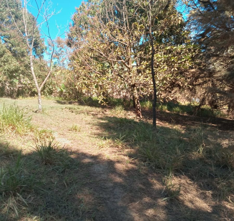 IMG-20240625-WA0111