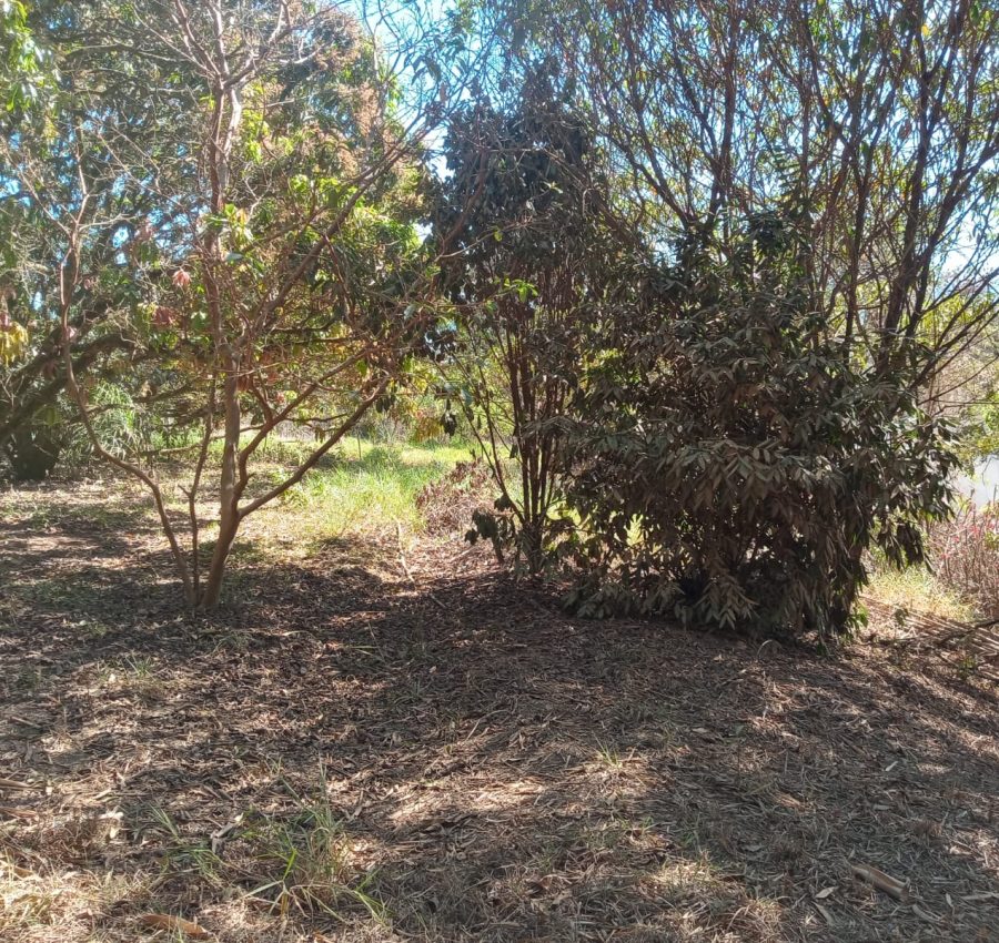IMG-20240625-WA0114