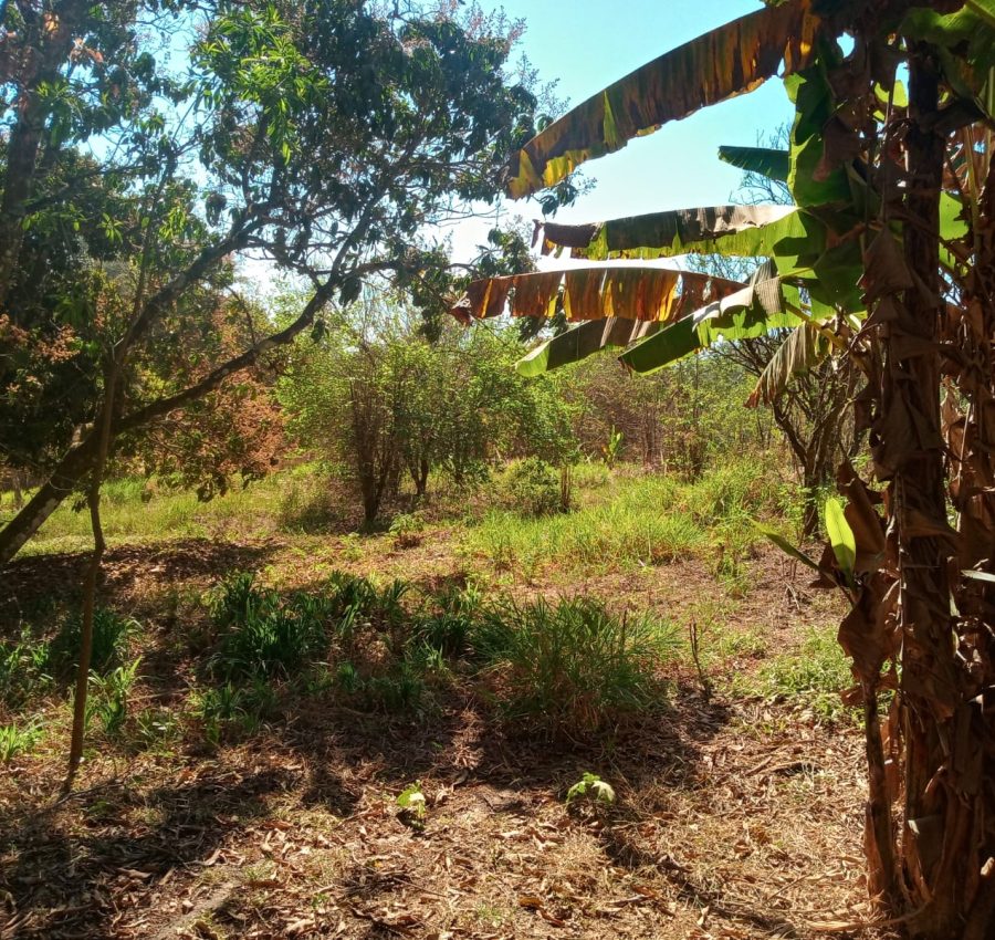 IMG-20240625-WA0115