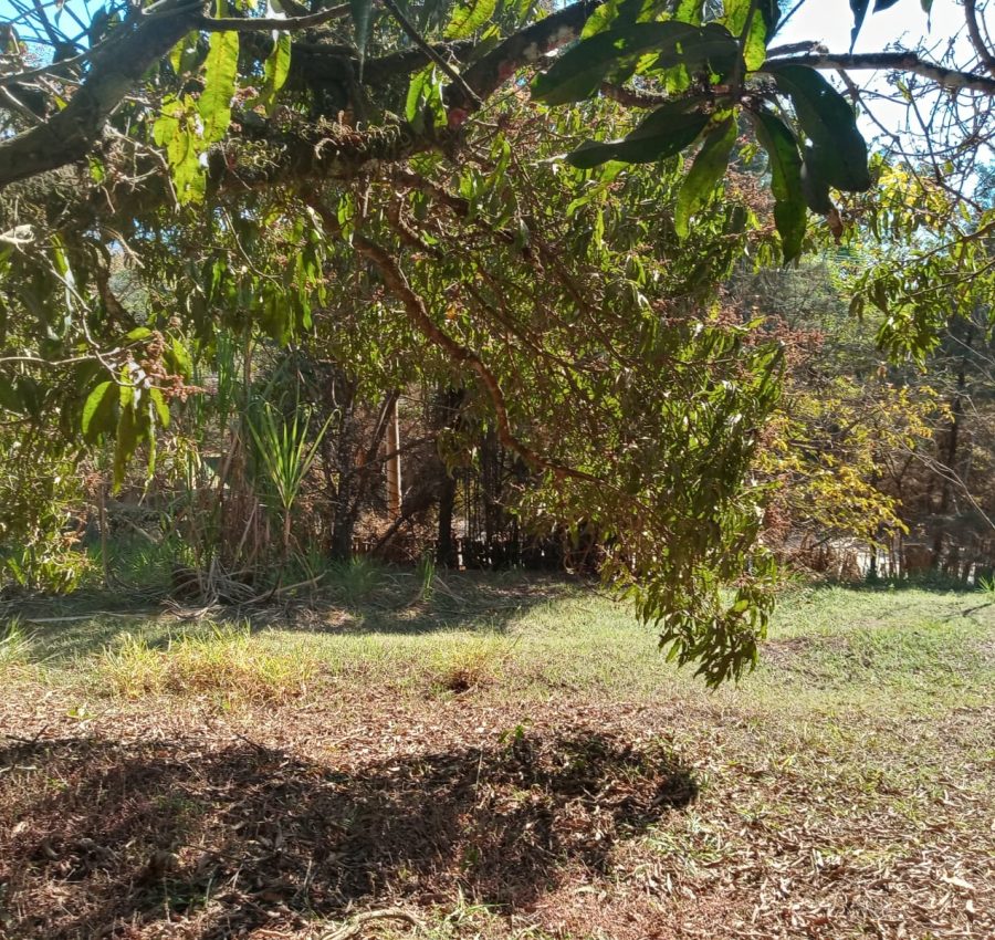 IMG-20240625-WA0117