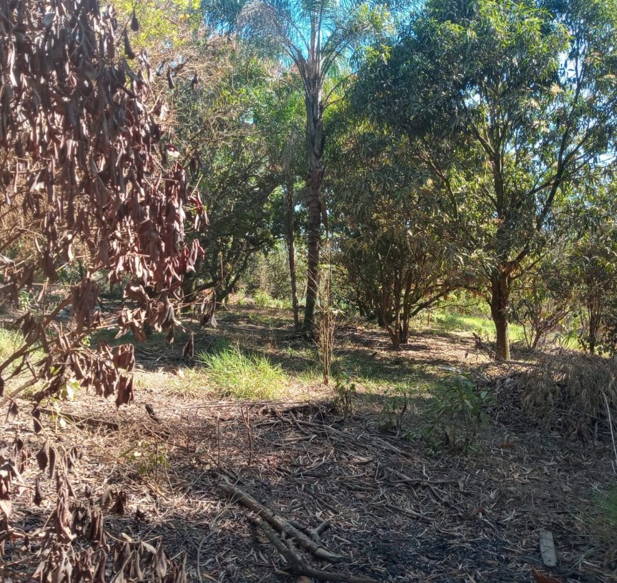 IMG-20240625-WA0120