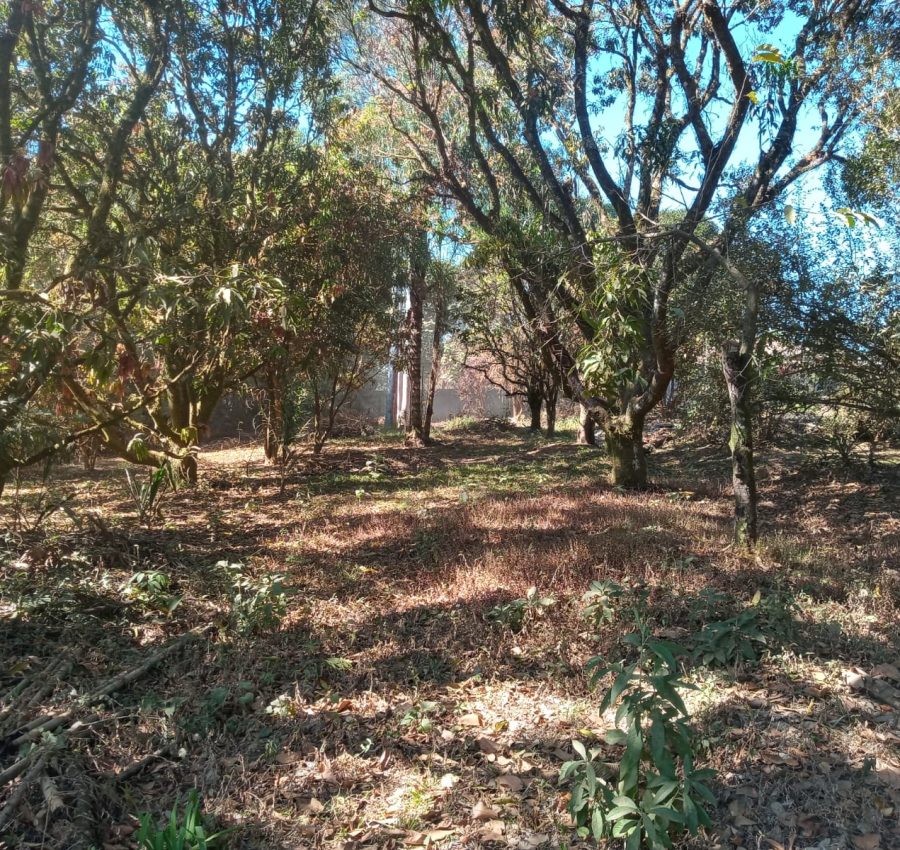 IMG-20240625-WA0121