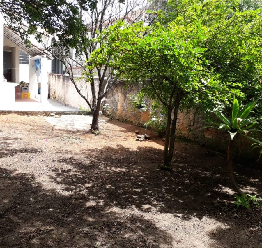 IMG-20240903-WA0158