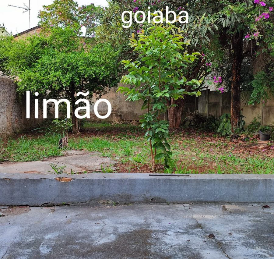 IMG-20240903-WA0163