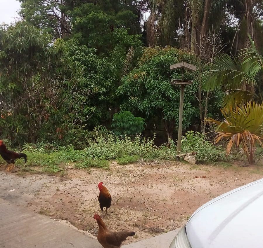 IMG-20241210-WA0149