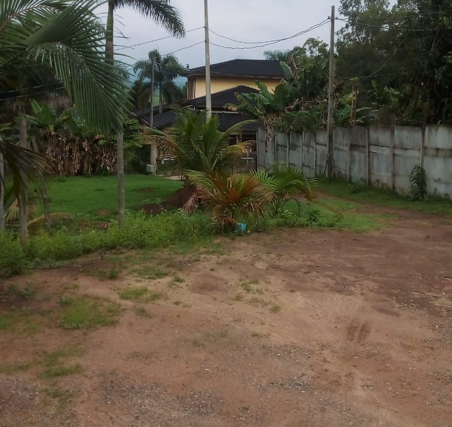IMG-20241210-WA0153