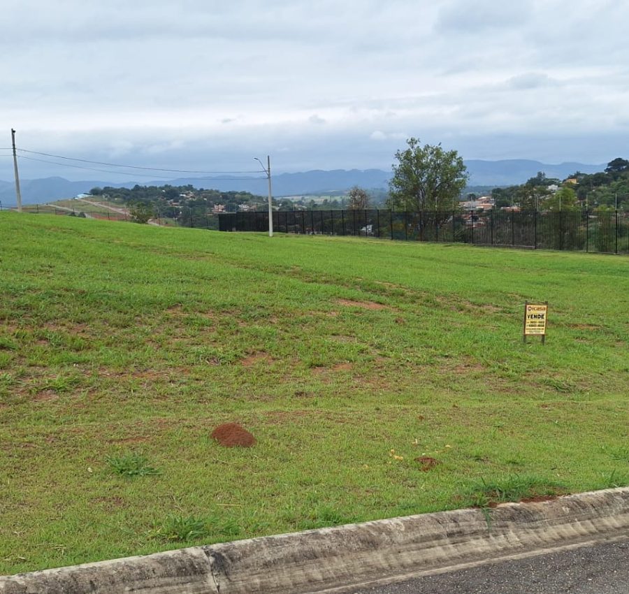 IMG-20250109-WA0225