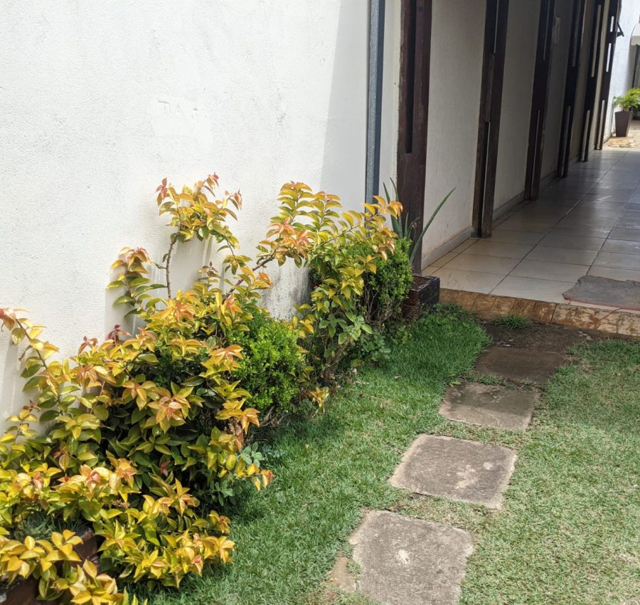WhatsApp Image 2026-02-03 at 13.46.48