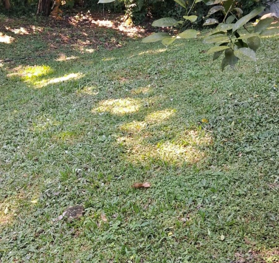 WhatsApp Image 2026-03-25 at 16.40.18